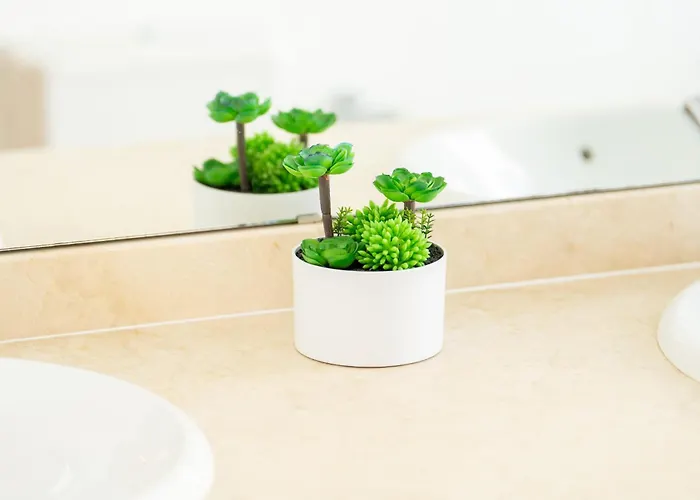 빌라 La Traviata 플라야블랑카