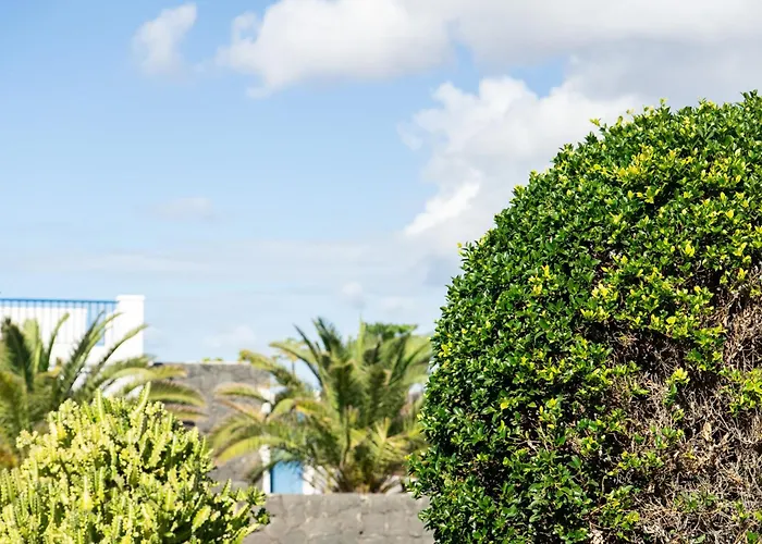 빌라 La Traviata *