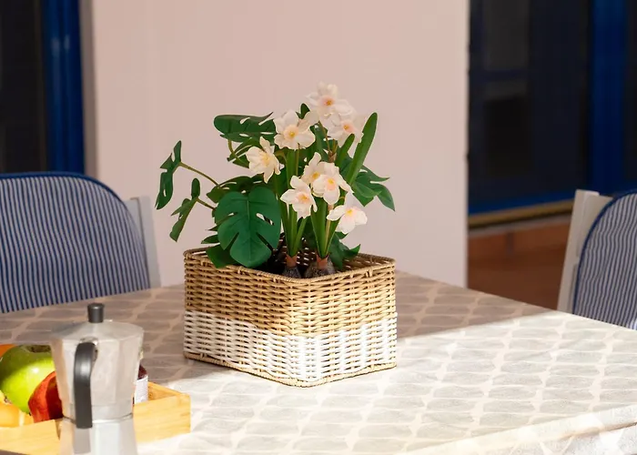 וילה La Traviata *