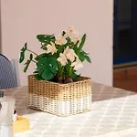 Βίλα La Traviata *